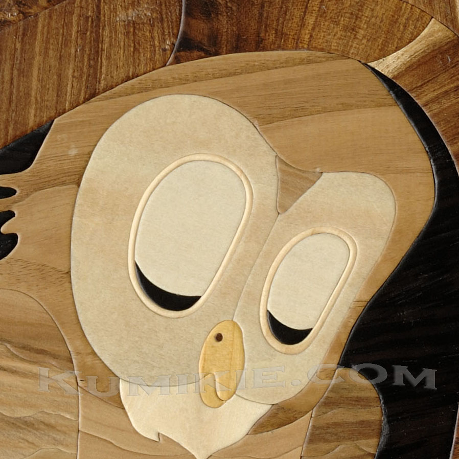 dozing_owl_small-clip