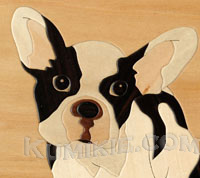 french_bulldog-clip