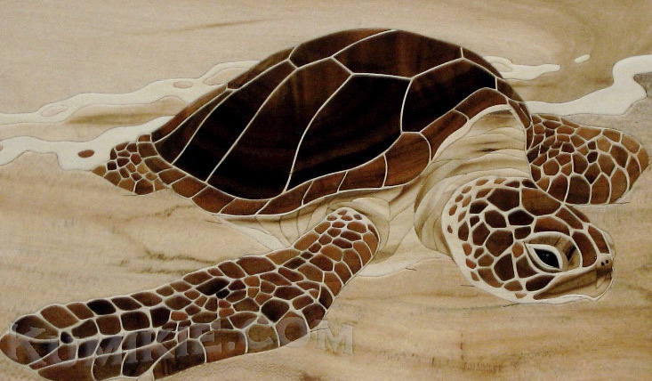 GG_caretta-clip.jpg